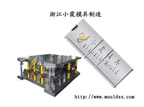 配套模具 冰箱塑料模具 塑料冰箱模具 中國小霞塑料模具公司