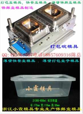 專業(yè)霸州注射模具工廠 一次性塑膠碗與薄壁打包盒模具制造專家